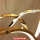 Abazhur i varur LED W07-GD