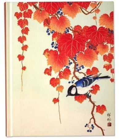Ditar Paperblanks Bird and Red Ivy, 18.4 x 22.9 cm, 192 faqe, me kapak të fortë