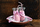 Set shishe qelqi Weck Saftflasche, 290ml, 6 copë, transparente
