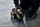 Nivel lazer kryq DeWalt DCE825D1G18-QW, 18V 2Ah, me bateri dhe karikues, i verdhë