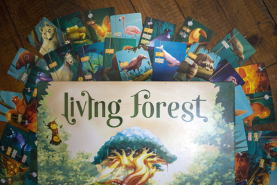 Lojë tavoline Brain Games Living Forest, lojë me mend, lituanisht letone estonisht