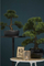 Bimë artificiale Emerald Ficus Mini Bonsai, 47 cm, në vazo, jeshile