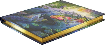 Fletore Peter Pauper Press Hummingbird Dream, format i madh, kapak dekorativ