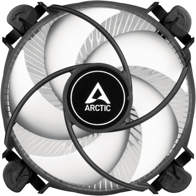 Ftohës Arctic Alpine 17