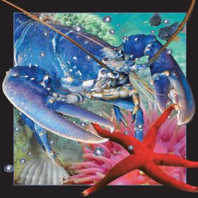 Kartolinë 3D dekorative Lobster, efekt tredimensional, motiv nënujore, shumëngjyrëshe