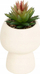 Bimë artificiale Livy Succulent, 17cm, vazo qeramike e bardhë