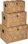 Set arka druri dekorative Atmosphera Arty Wooden Trunk X3, 3 copë, ngjyrë druri natyrale