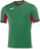 Fanellë futbolli Joma Champion IV Jr 100683.456, për fëmijë, e gjelbër