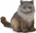Figurë mace Collecta Norwegian Forest Cat ulur, për zbukurim, me shumë ngjyra