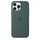Apple iPhone 16 Pro Max Silicone Case with MagSafe, Lake Green (Seasonal)