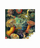 Puzzle Good Loot Imagination Ernst Haeckel Sea Creatures, 1000 copa, shumëngjyrësh