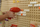 Set veglash lodër Masterkidz Tool Set With Drill, 8 elemente, për panel STEM, shumëngjyrësh