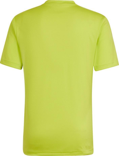 Bluzë sportive adidas Entrada 22 Graphic Jersey M HF0118, poliestër i riciklu, teknologji Aeroready, e verdhë gri