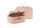 Kuti per lodra Pretty Picnic - 2 Pack