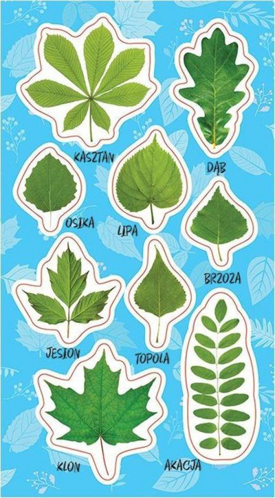 Ngjitëse dekorative Spring Leaves, motive gjethe pranverore, shumëngjyrëshe