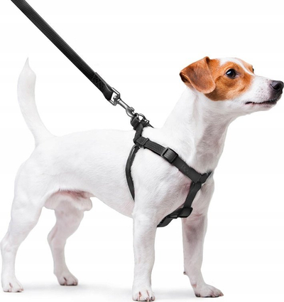 Shëtitëse për qen WAUDOG Waterproof Medium, 3 m, 19 mm, e zezë