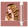Stilizues per floke 5n1 Sencor SHS 8700RS, roze