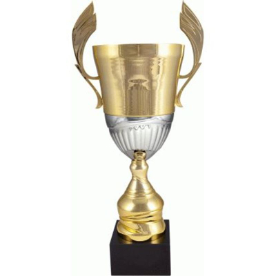 Kupë sportive Victoria Sport Metal Cup 4128C, metal, ar e argjend