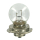 Lampa Motorri 12v 15w P26s Blister #