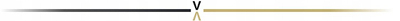 Toalet portativ Camry CR 1041, 3 në 1, i palosshëm, 30L, gri