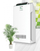 Pastrues ajri Heinner HPA-318WIFI, 318 m³/h, 38 m², i bardhë