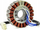 Stator gjeneratori Tvardy T05010, pjesë këmbimi, i bardhë