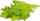 Refill sallate Click & Grow Oakleaf, 3 kapsula, për Smart Garden, jeshile