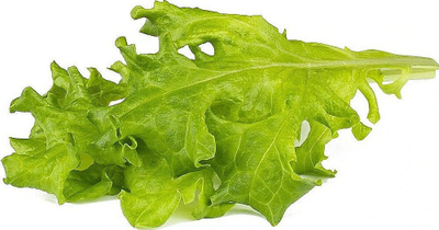 Refill sallate Click & Grow Oakleaf, 3 kapsula, për Smart Garden, jeshile