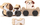 Lodër tren druri Cubika Clever Puppy, me magnet, shumëngjyrësh