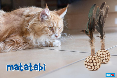 Lodër për mace Matatabi Ball With Feather, top me Matatabi, puplë natyrale, shumëngjyrëshe