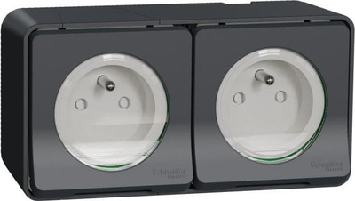 Prizë dyfishe Schneider Electric, 2P 16A, montim sipërfaqësor, gri