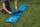 Coleman Extra Durable Airbed Single