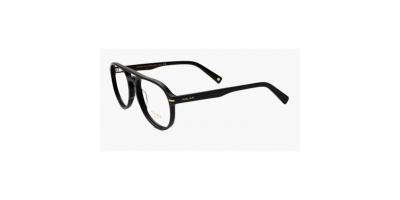 Syze Optike Polar Gold 41 77