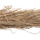 Pemë dekorative Tropic 360Hcm (HM4322)