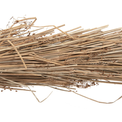 Pemë dekorative Tropic 360Hcm (HM4322)