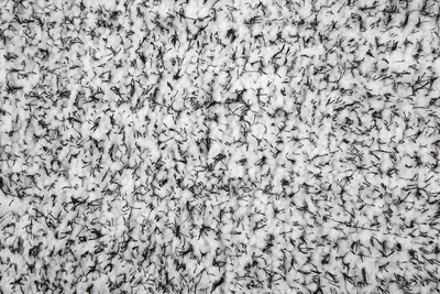 Tapet shaggy Beliani DEMRE, 160x230 cm, poliester, gri