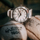Set Prim Limited Edition Sport 64 GMT Tokio Czech – A W03P.13142.A, orë dore + rrip