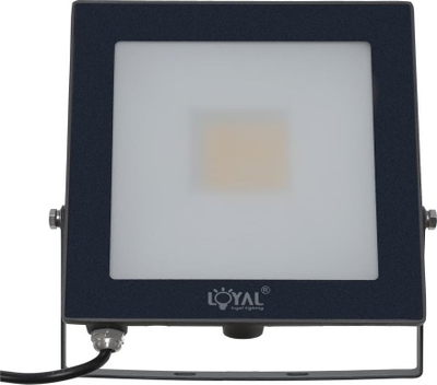 Reflektor LED Loyal Lighting LY-FLE30, 30W, 4250 lm, 4000K, IP65, i zi