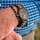 Orë dore Green Time Basic ZW074C