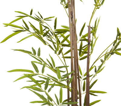 Bimë plastike bambu BAMBUSA VULGARIS, për zbukurim, e gjelbër