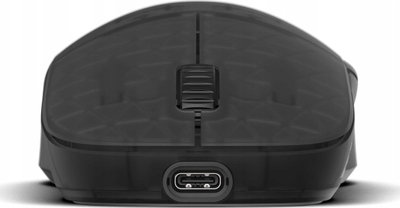 Maus gaming Endgame Gear XM2w 4K, wireless, optik, Dark Frost