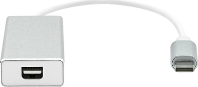 Adapter USB-C në Mini DisplayPort ProXtend, 20cm, ngjyrë argjendtë