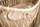 MBESHTJELLES  0-3 months Twig Wild Rose