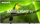 TV Philips 75PUS8008/12 me Ambilight, 75", 4K Ultra HD, Smart Android, i zi