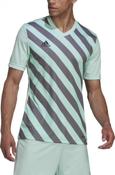 Bluzë sportive adidas Entrada 22 Graphic Jersey, Aeroready, poliester i riciklum, për burra