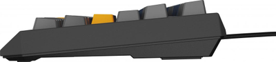 Tastierë mekanike Genesis Thor 230 TKL, Outemu Panda, RGB, e zezë