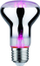 Poç LED Paulmann LED R63 E27 6.5W 230V
