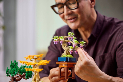 Set LEGO Botanicals Small Bonsai Trees 10373, 709 pjesë, dekorativ, shumëngjyrësh