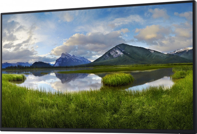 Monitor Dell P2725H, 27", FHD, i zi
