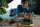Figurë aksion Minecraft Glow Squid, 3.25", me aksesore, jeshile